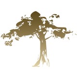 Stonegate Dental - Dentists in Parker