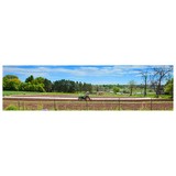 Aspen Moon Farm LLC - Landscape Architects in Longmont