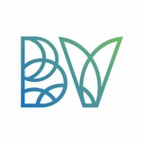 Bravo - Other in Vail