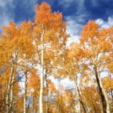 Yampa Valley Land Trust - Other in Steamboat Springs