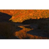 Sheep Mountain Alliance - Other in Telluride