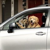 Shortline Automotive Inc - Car Dealers in Aurora