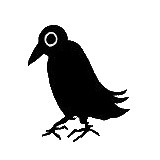 Raven's Eye Press LLC - Other in Durango