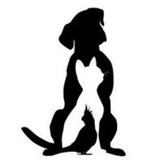 Fur To Feathers Pet Sitting - Pet Stores in Colorado Springs