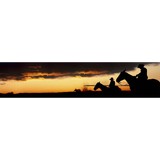 Ironman Enterprises LLC - Other in La Jara