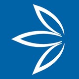 Leafbuyer - Marketing in Englewood