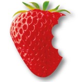 Strawberry Fields - Women’s Clothing in Colorado Springs