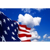 American Turf & Tree Care - Lawn Services in Greeley