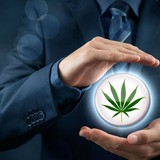 Mc Allister Law Office - Solicitors & Lawyers in Breckenridge