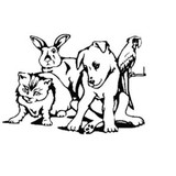 Fur & Feathers Pet Grooming - Pet Groomers in Colorado Springs