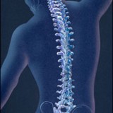 Motion Chiropractic And Acupuncture - Acupuncture in Denver
