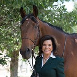 Carol Dopkin Real Estate Inc - Other in Aspen