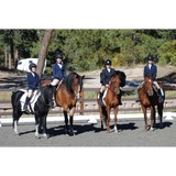 EquesTraining at Stellar Pony Club Riding Center - Other in Parker