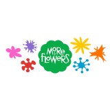 More Flowers - Wholesale in Denver