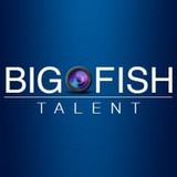 Big Fish Talent Agency Inc - Other in Broomfield