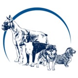 Focus Dog Training - Pet/Animal Training in Colorado Springs