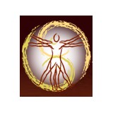 Back To Wellness Chiropractic and Acupuncture - Chiropractors in Parker