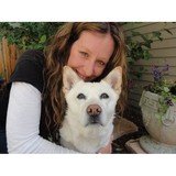 Four Dog Paws LLC - Pet Services in Denver