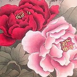 DarrylO Web Design and Marketing - Web Design & Development in Fairfield