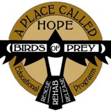 A Place Called Hope Inc - Other in Killingworth