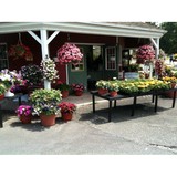 Scott's Yankee Farmer - Other in East Lyme