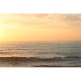 Wealth Consultants Inc - Insurance in Stamford