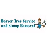 Beaver Tree Service & Stump Remvl - Other in Somers