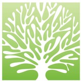 Mass Mutual Financial Group - Insurance in Stamford