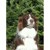 Burke Ridge Farms Greenhouse - Other in Ellington