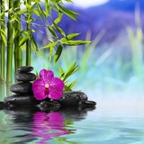 Shunyata Healing Center LLC - Other in East Haddam