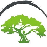 Samadhi Yoga Storrs, LLC - Yoga