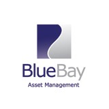Bluebay Asset Management Usa LLC - Business Financial Consultants in Stamford