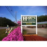 Hart's Greenhouse & Florist - Floriculture & Flower Farm in Brooklyn