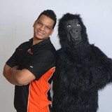 Gorilla Bail Bonds, LLC - Bail Bondsmen in Hartford