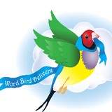 Word Bird Delivers - Other in Ansonia