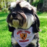 Deer & Tick Guard - Pest Control in Brookfield