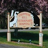Linnetz Lawrence J DVM - Veterinarians/Vets in Bristol