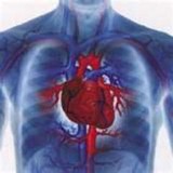 Second Chance Cpr & First Aid - Other in Middlefield