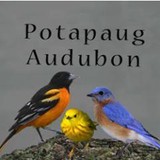 Potapaug Audubon - Other in Old Lyme