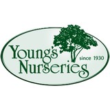 Young's Nurseries Inc - Landscape Architects in Wilton