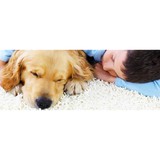 Supreme Carpet & Upholstery Cleaning - Carpet Cleaning in Stamford