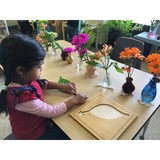 Ellington Montessori School - Other in Ellington