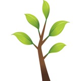 Newington Children's Dentistry - Dentists in Newington