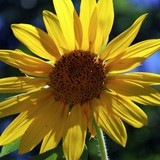 West Hartford Landscaping Inc - Landscape Architects in West Hartford