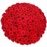 Rosefarm - Other in Guilford