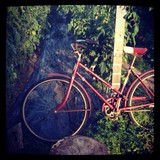 Sugar & Olives LLC - Restaurants in Norwalk