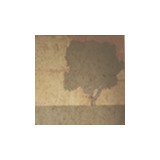 Brothers Tree & Lawn Service - Lawn Services in Stratford