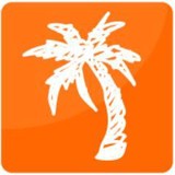 Palm Tree Creative, LLC - Web Design & Development in Middletown