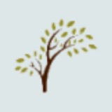 Family Tree CO - Other in Old Saybrook