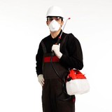 Best Pest Control - Pest Control in Greenwich